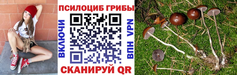 купить наркоту  Камбарка  Галлюциногенные грибы Magic Shrooms 